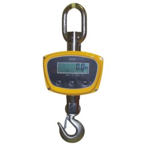 Crane Scales